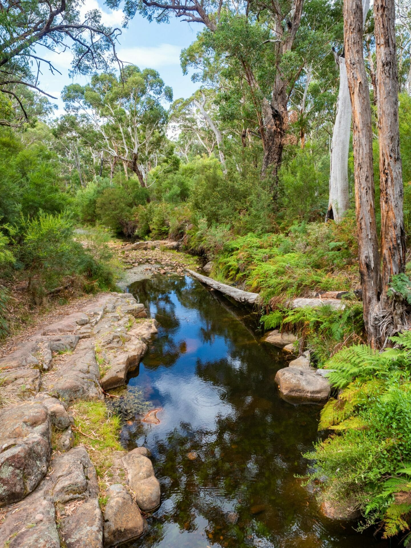 Bugiga campground clearance