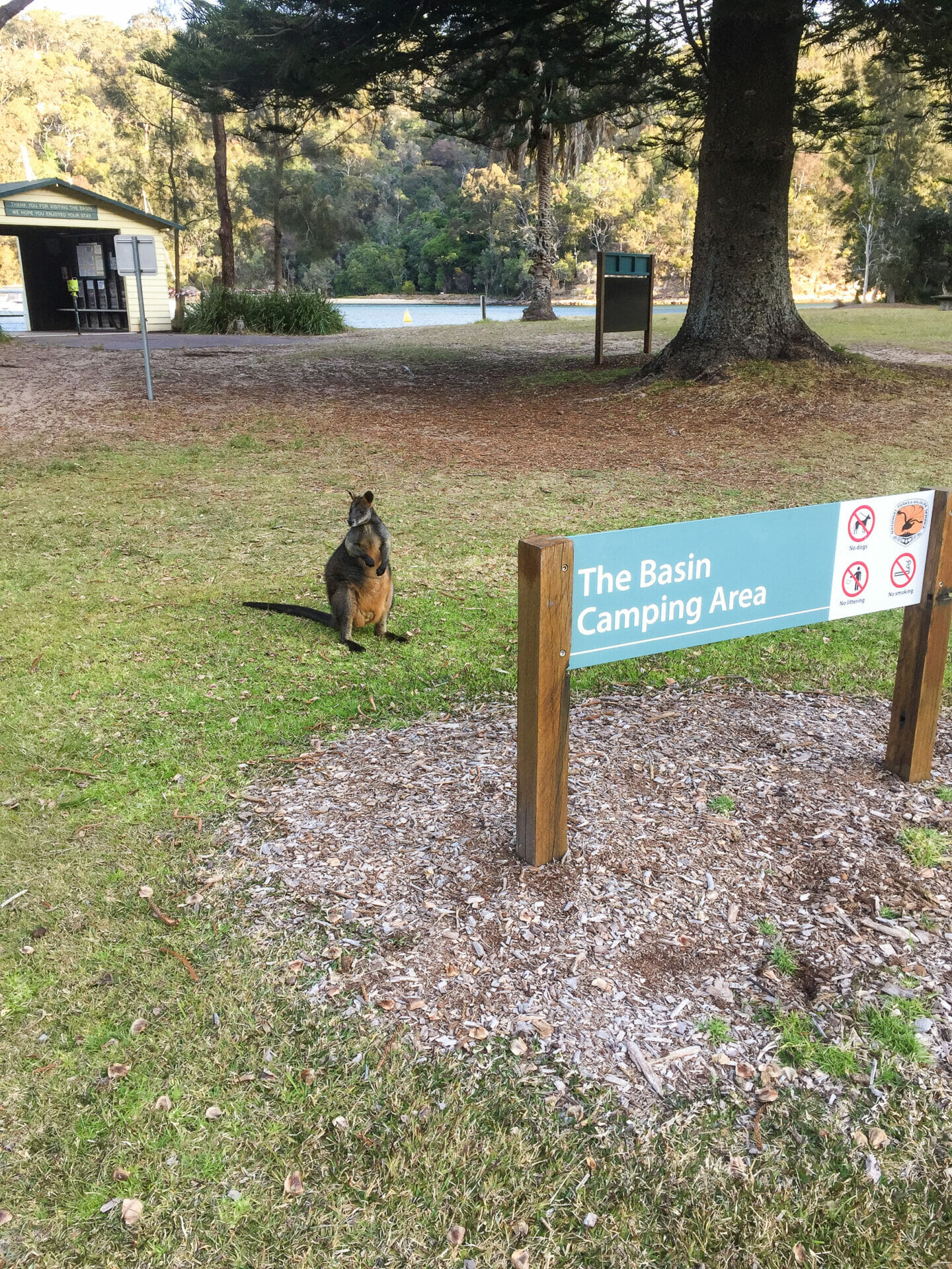 The on sale basin campground