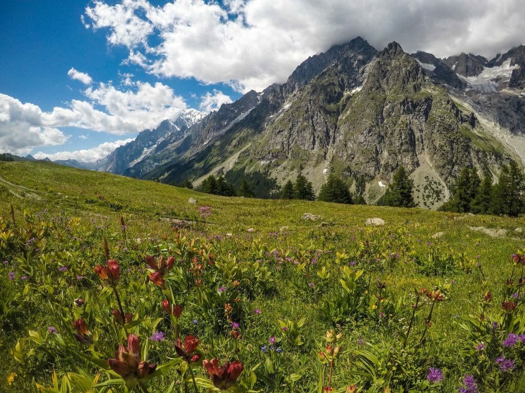 Stages 5 & 6 of the TMB are so beautiful!