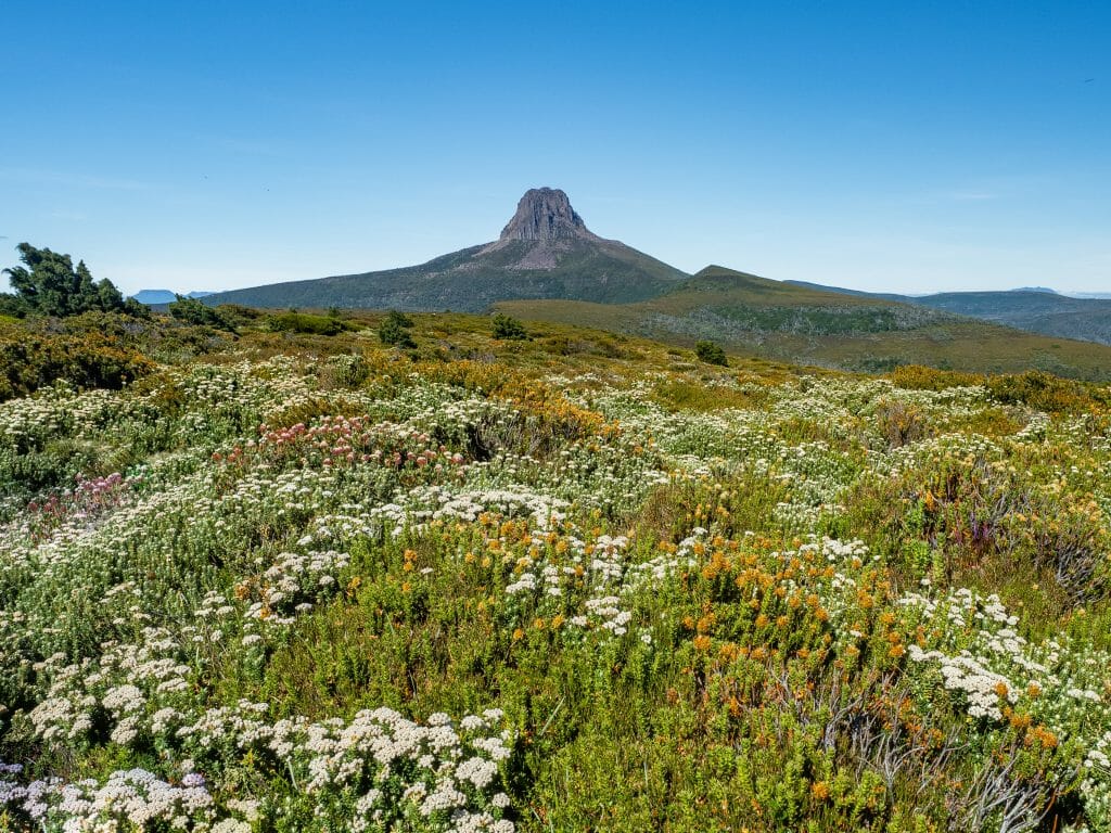 Overland Track, Barn Bluff