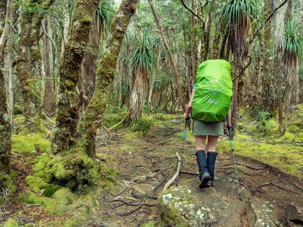 Overland Track day 3