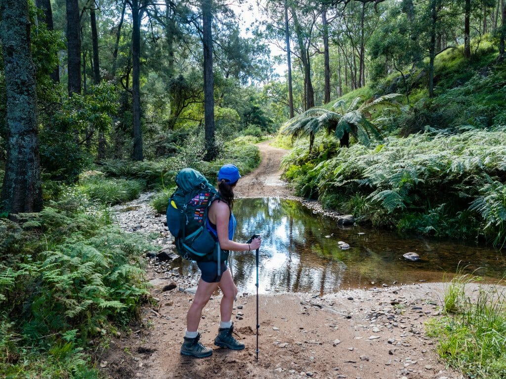 Six Foot Track, Blue Mountains