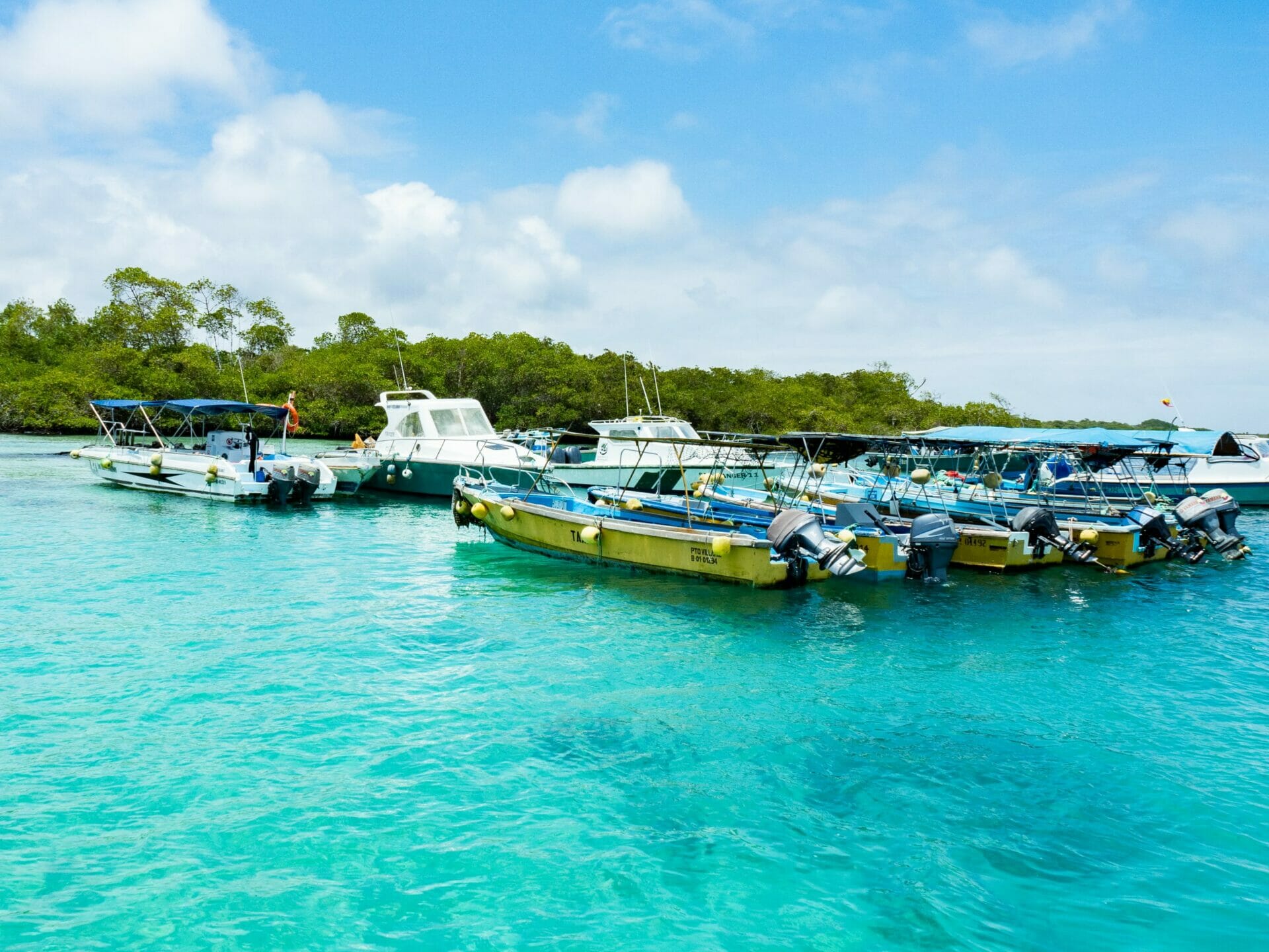 Boats lined up in clear blue water Galápagos