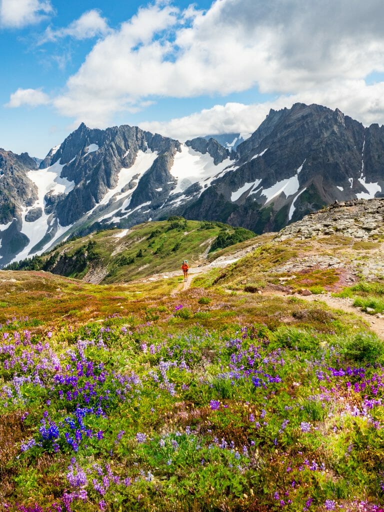 Sahale Arm Buckner Boston Basin North Cascades National Park hike climb