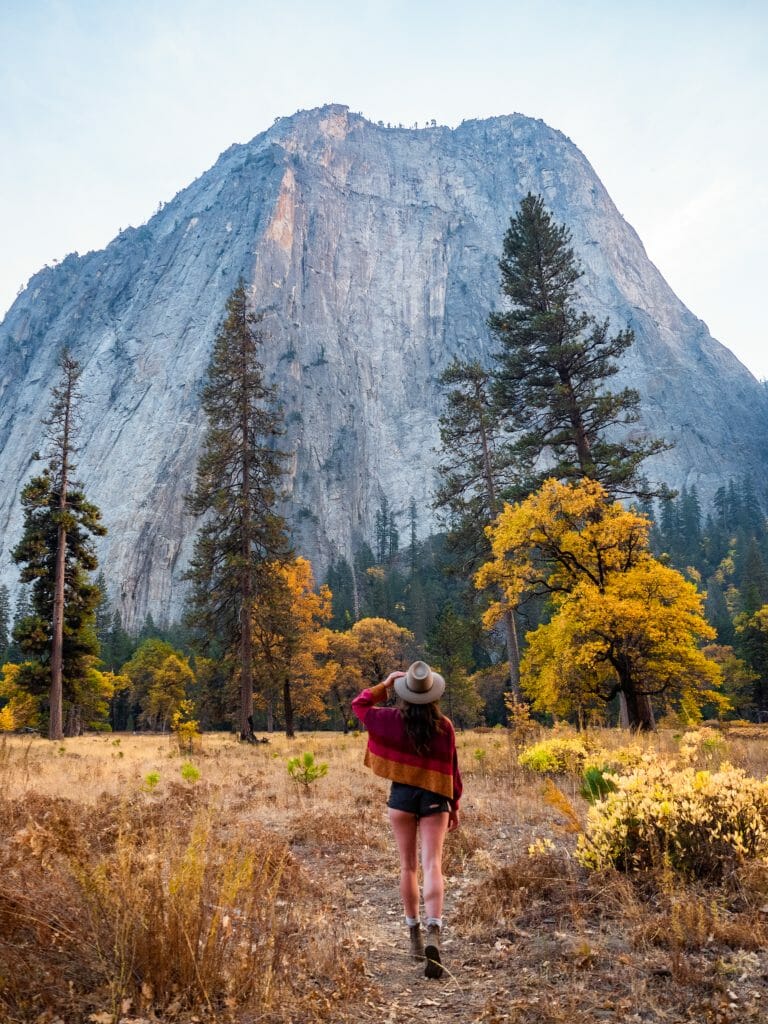 Yosemite National Park 1-day itinerary best views hikes
