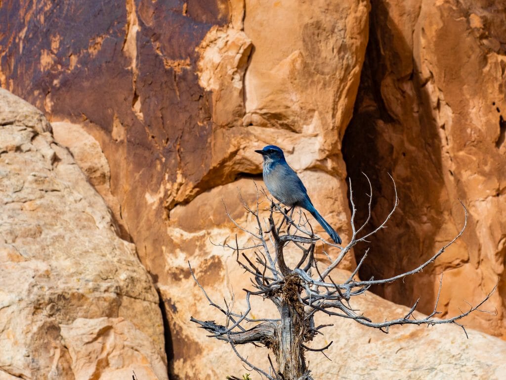 Arches National Park itinerary best views hikes