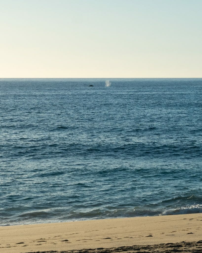 Todos Santos Baja Mexico beach vanlife