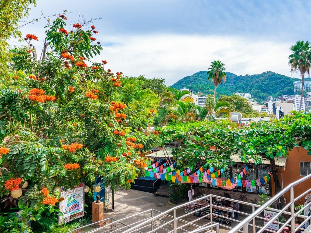 Puerto Vallarta Jalisco Mexico vanlife