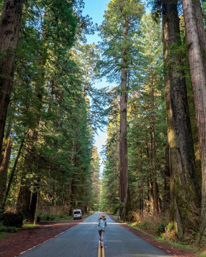 Redwood vanlife diaries Brooke Around Town
