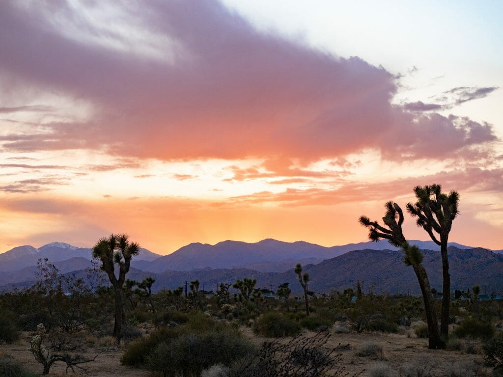 Sunset Joshua Tree national park vanlife