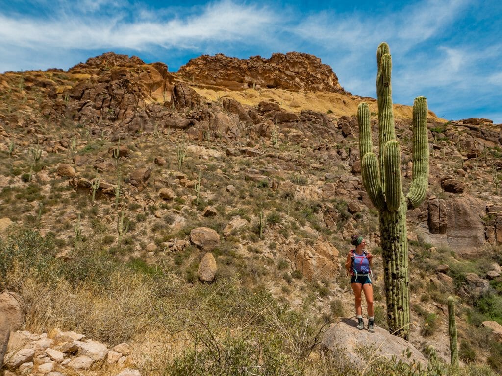 Superstition Mountains Phoenix Arizona Flat Iron Weever's Needle peralta Canyon