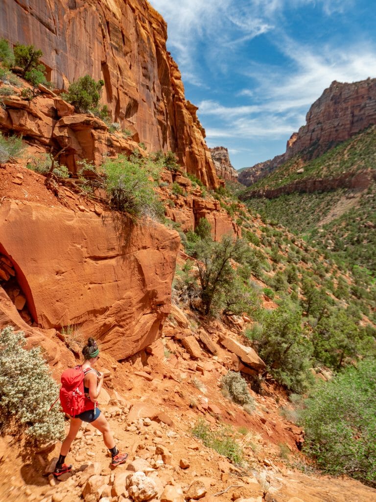 Zion National Park itinerary best hikes Subway