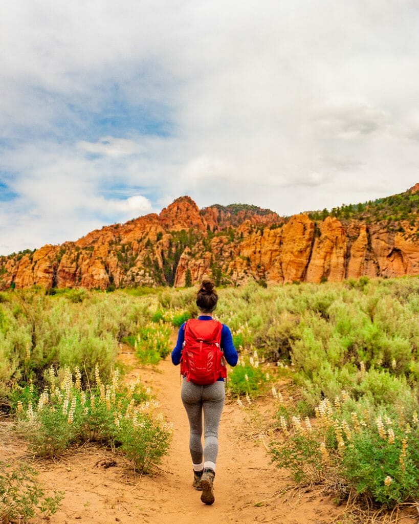 Zion National Park itinerary best hikes Kolob Arch Hop Valley