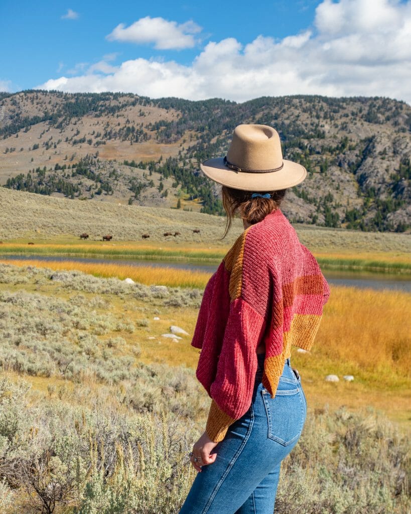 Yellowstone National Park itinerary