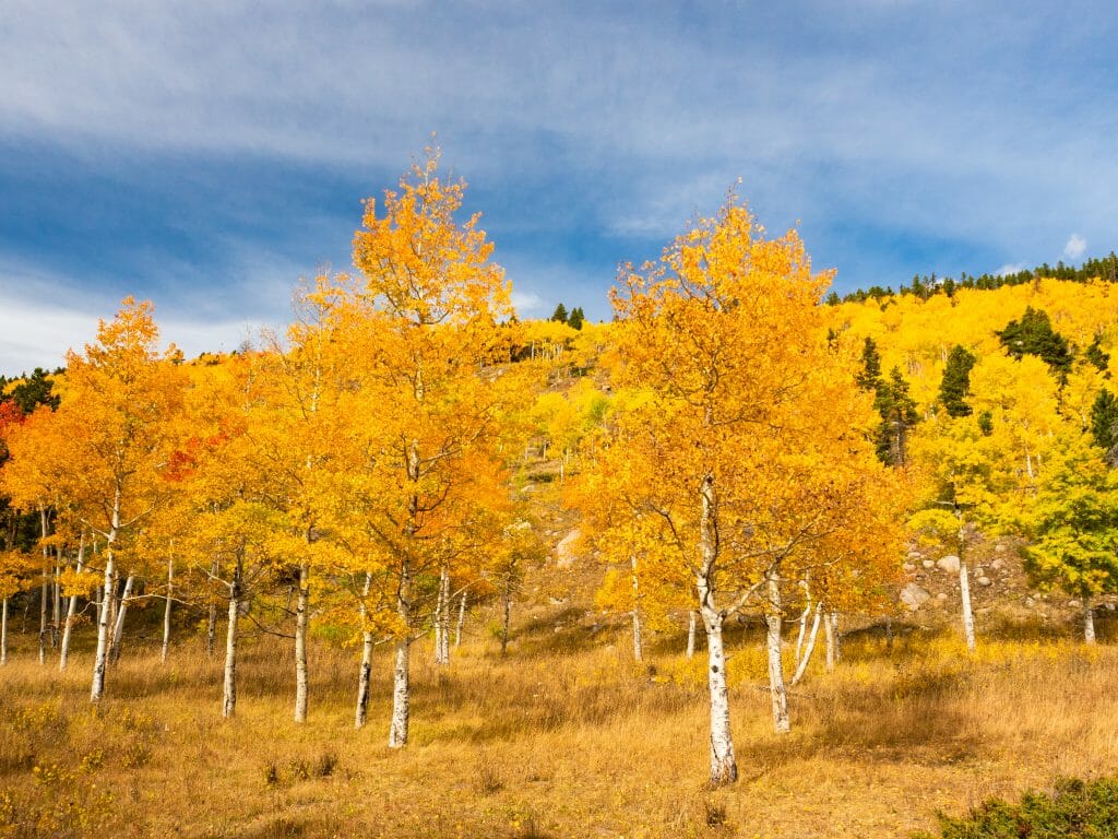 Rocky Mountain National Park Colorado autumn fall