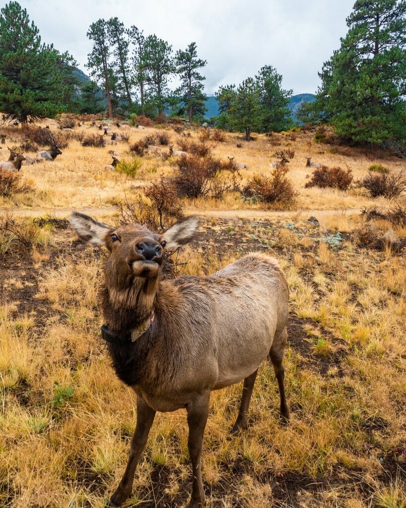 Rocky Mountain National Park Colorado autumn fall
