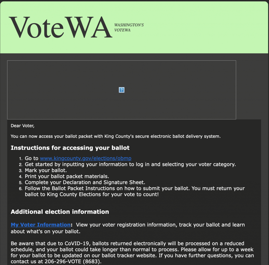 USA election 2020 absentee online ballot vote