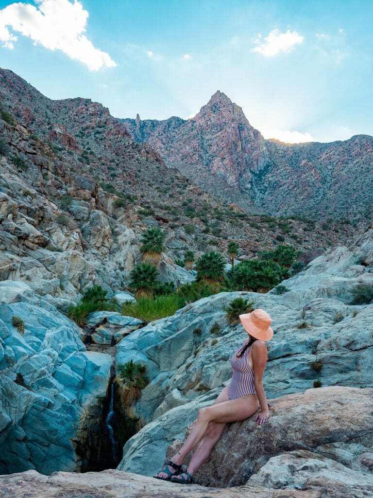Guadalupe Canyon Oasis Hot Springs Mexicali Baja
