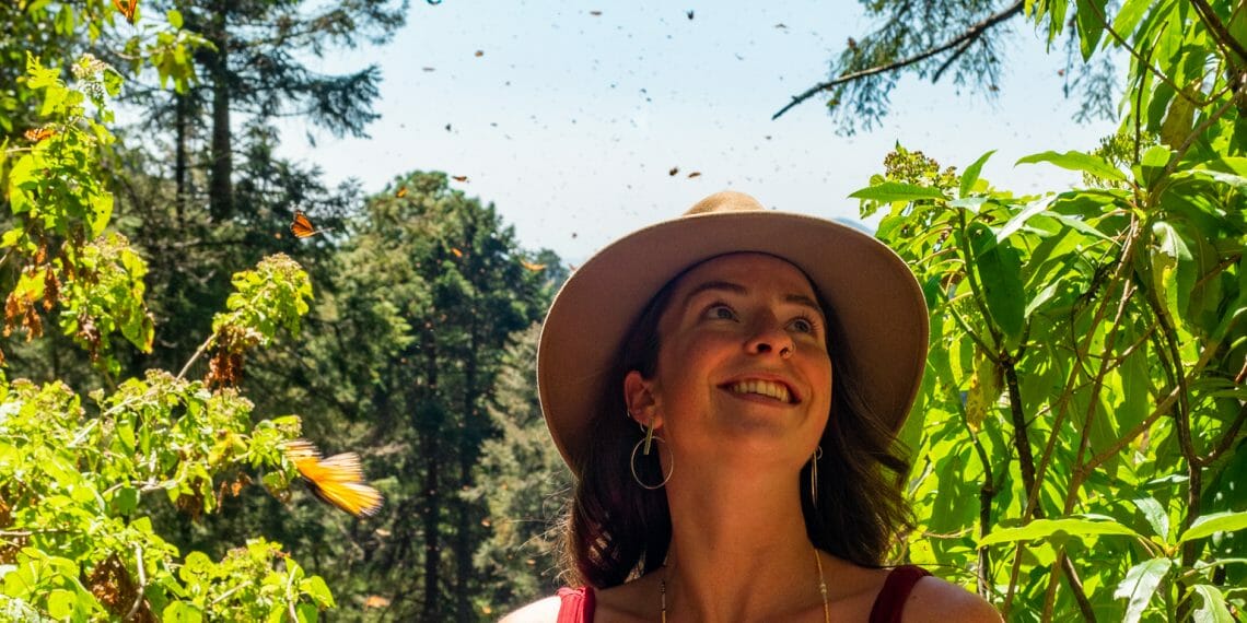 Sierra Chincua Monarch Butterfly Sanctuary Michoacan Mexico