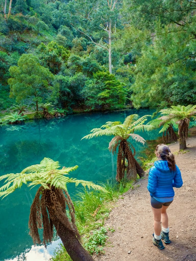 Six Foot Track Sydney Jenolan Caves