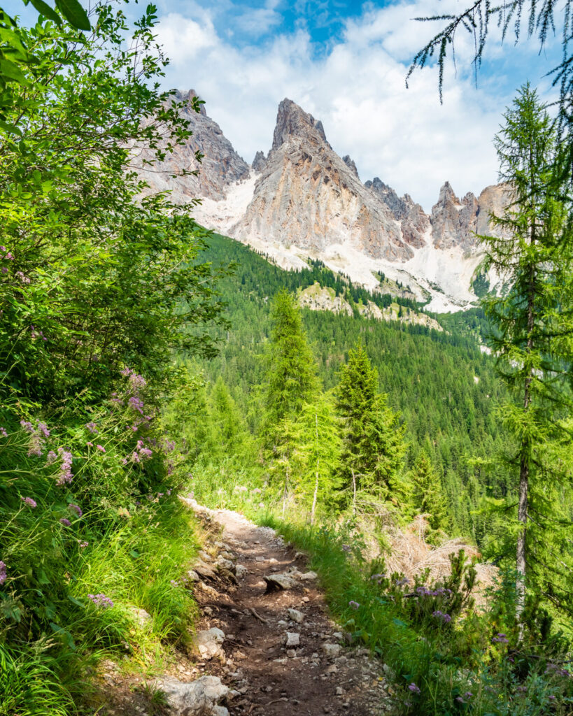 Trail to Lago di Sorapis