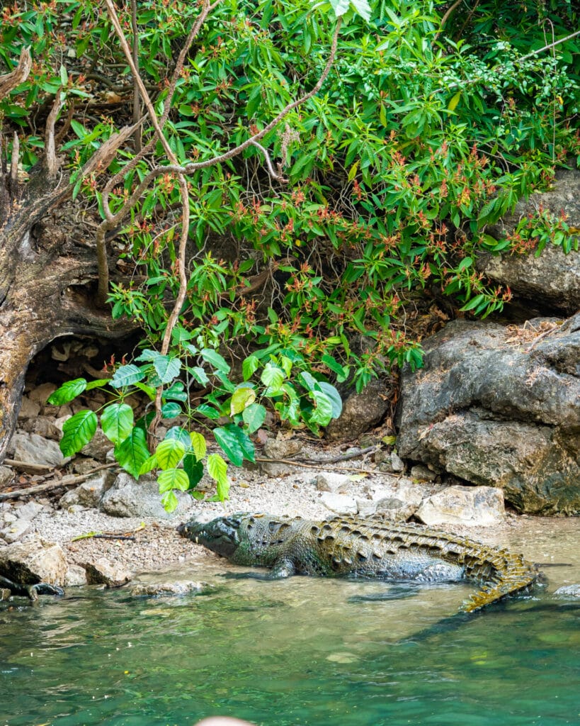 boat tour in Sumidero Canyon, Chiapas