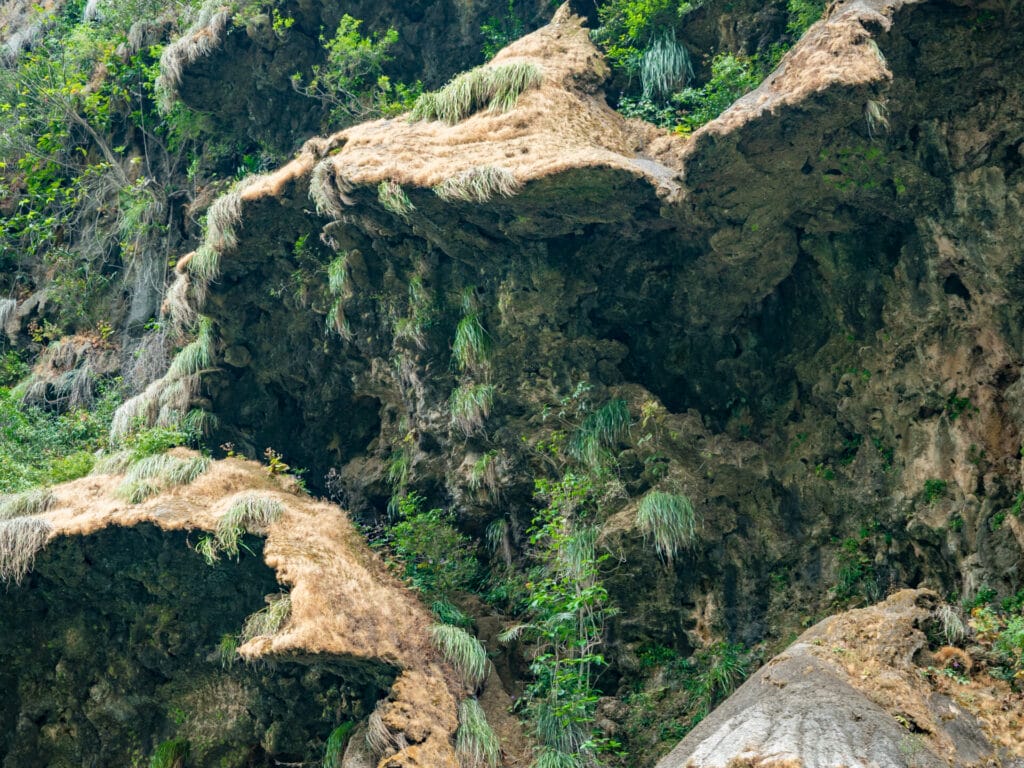 boat tour in Sumidero Canyon, Chiapas