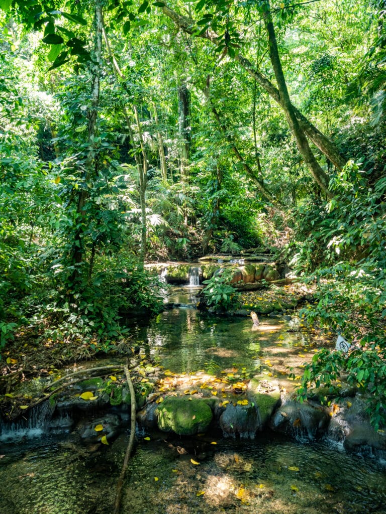 Hiking in Palenque National Park, Chiapas