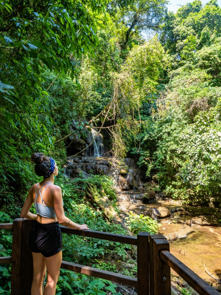 Hiking in Palenque National Park, Chiapas