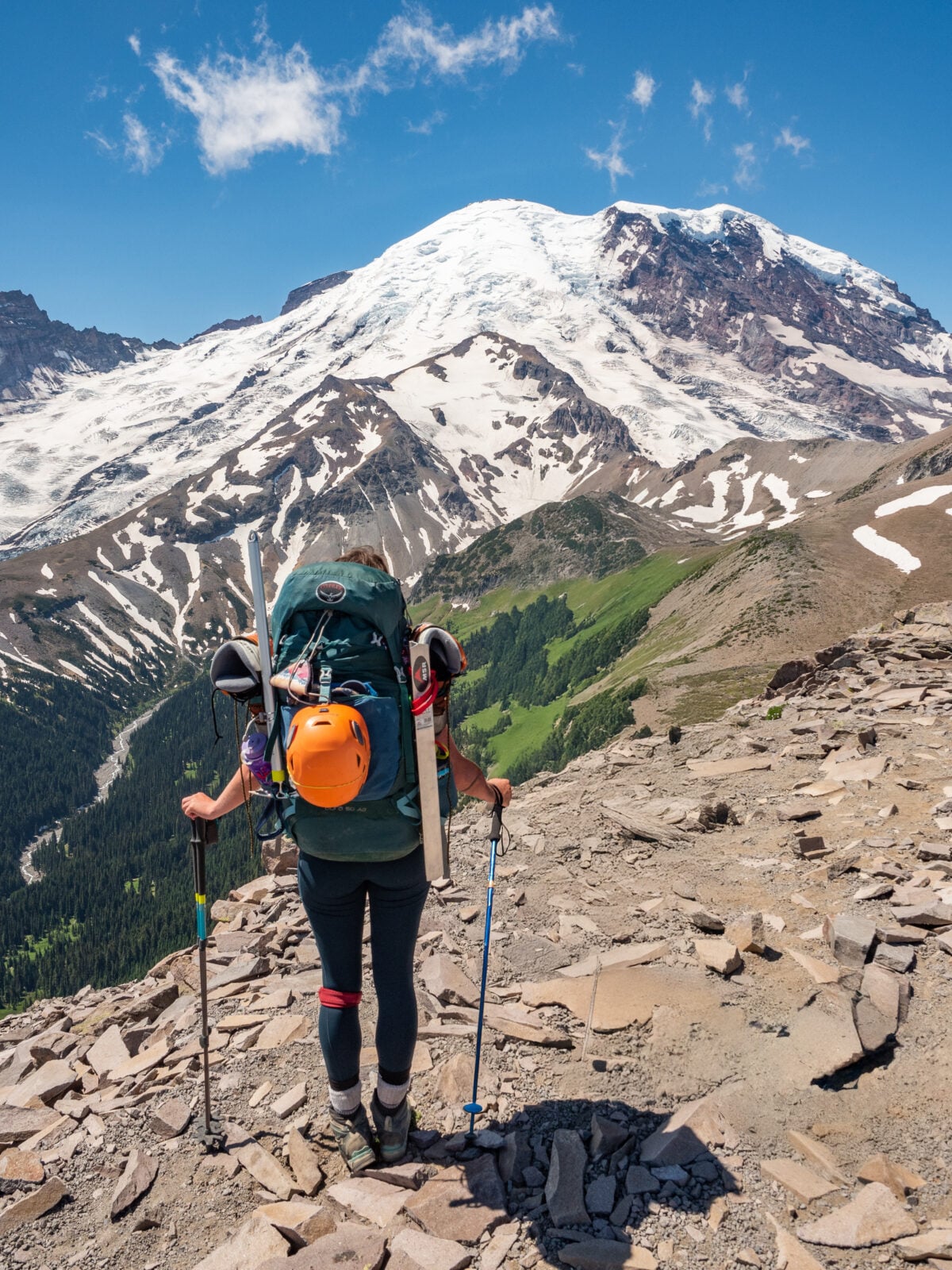 Mt Rainier