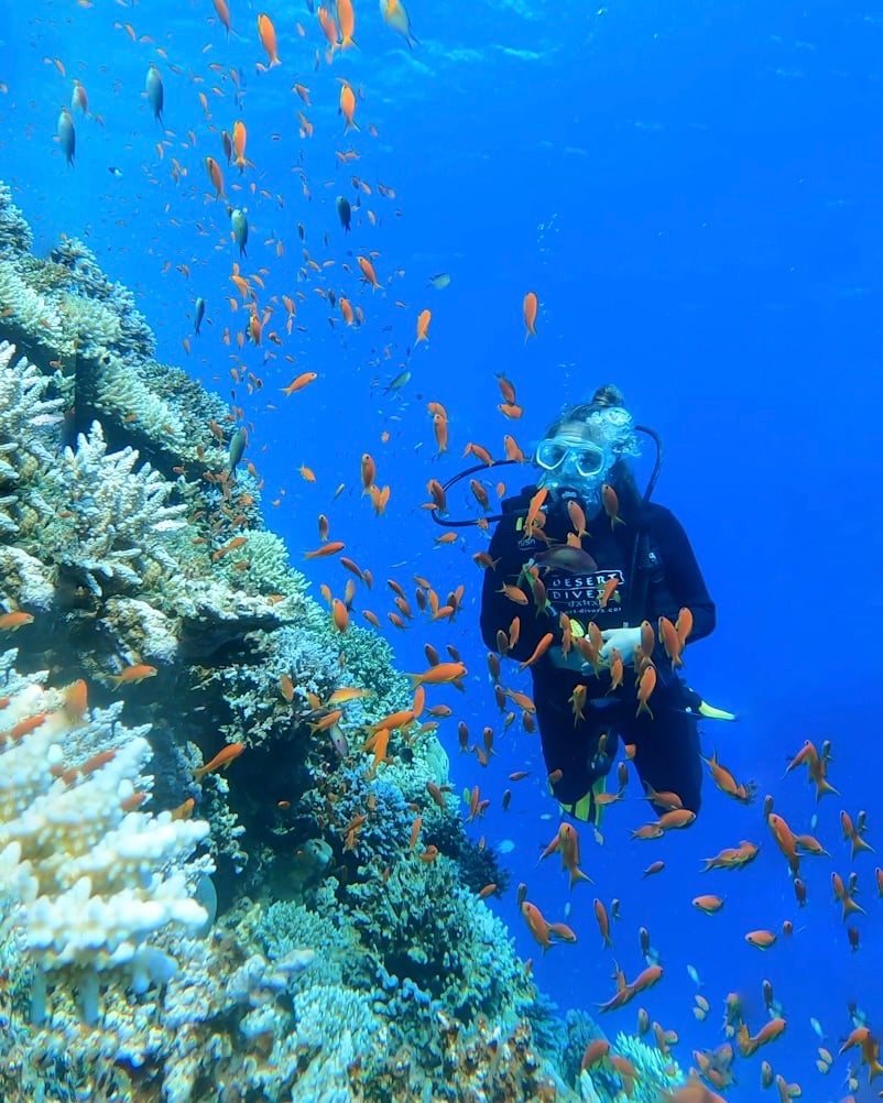 scuba diving in Dahab