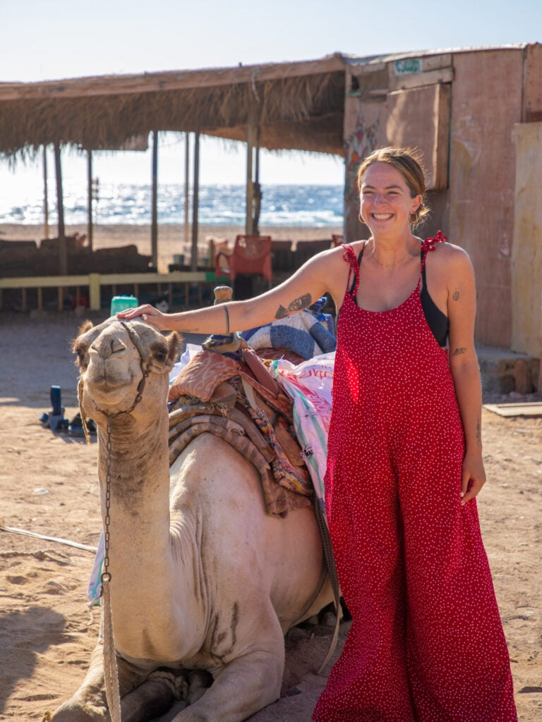 Camel dive safari in Dahab