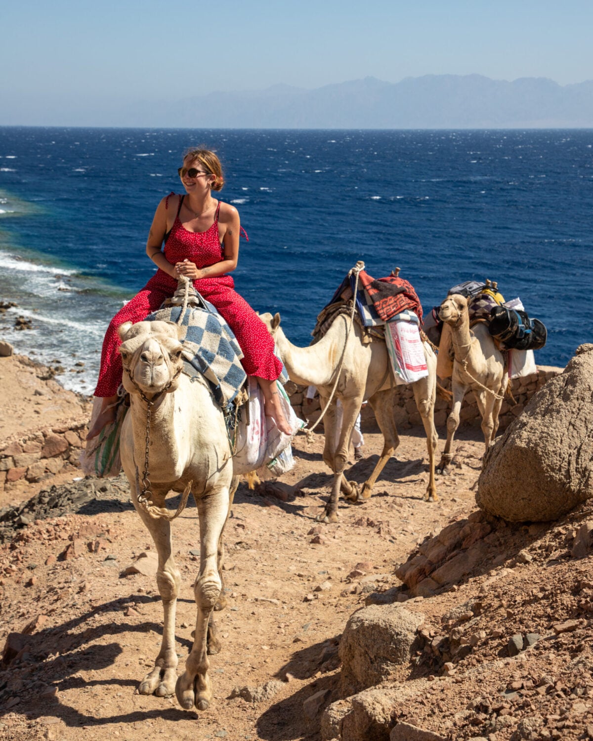 Riding camels in Dahab