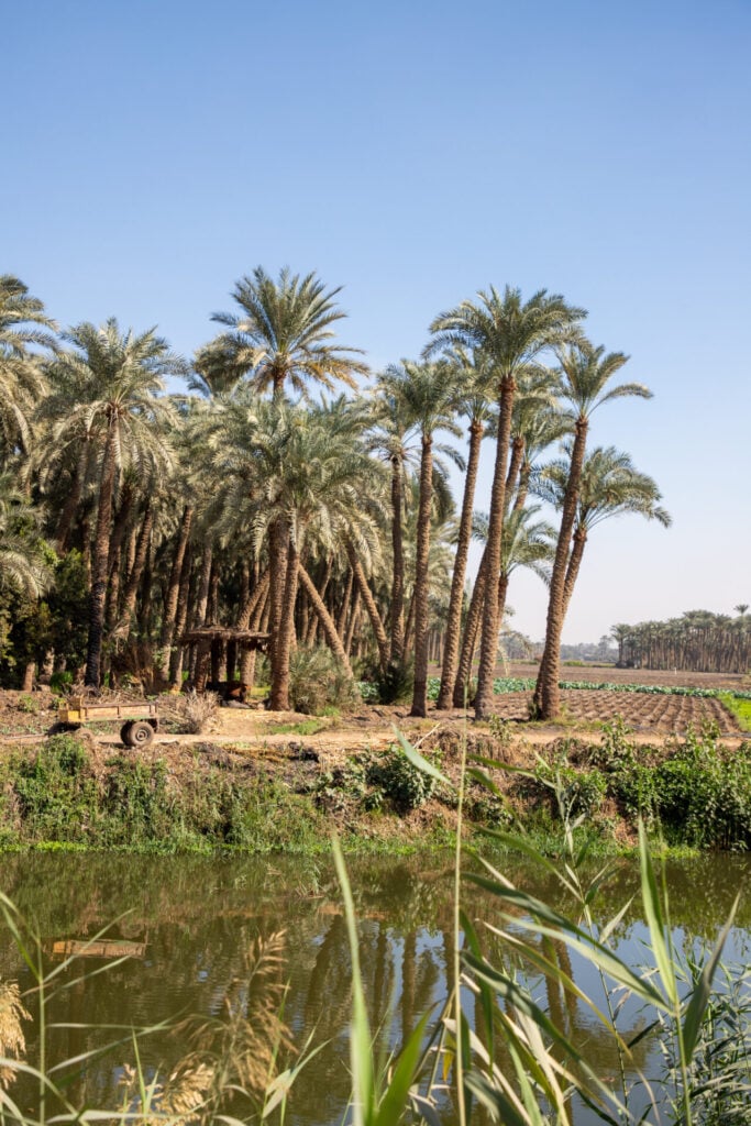 Nile scenery near Saqqara