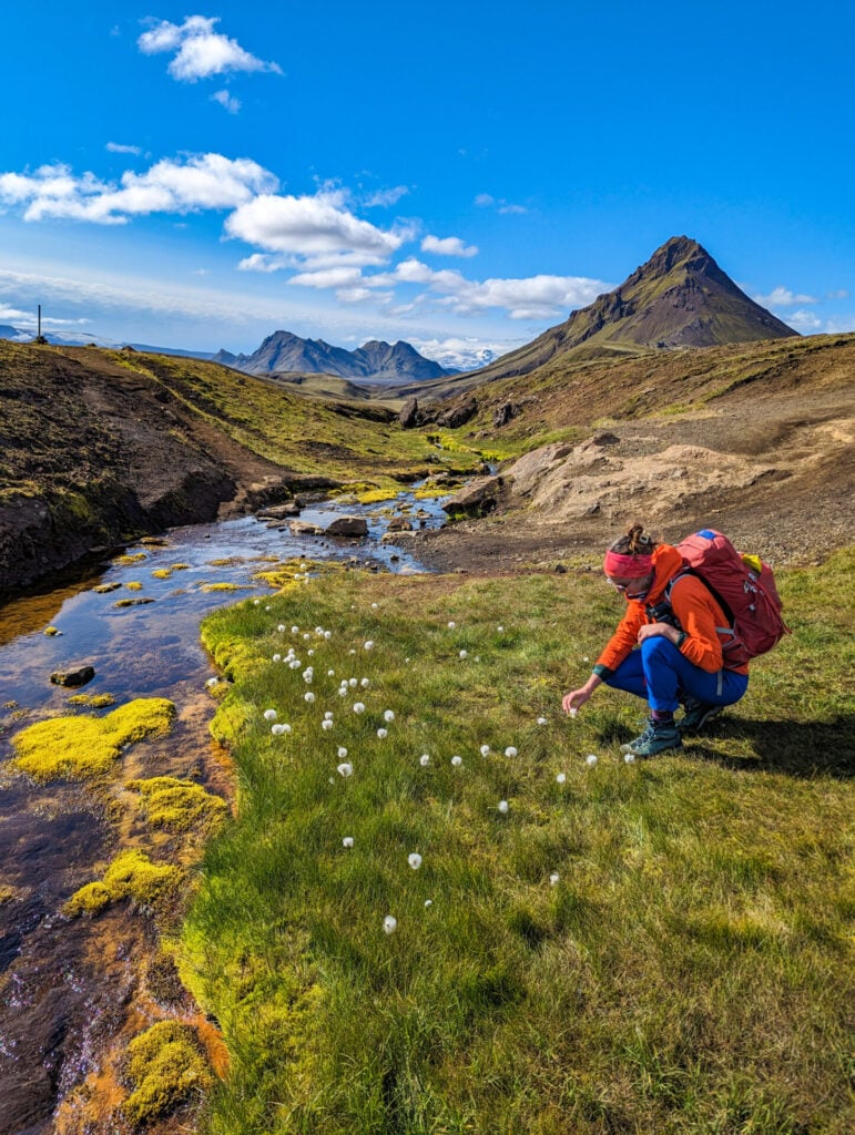 Hiking the Laugavegur Trail