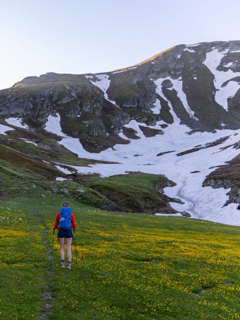 Ali Peja Pass