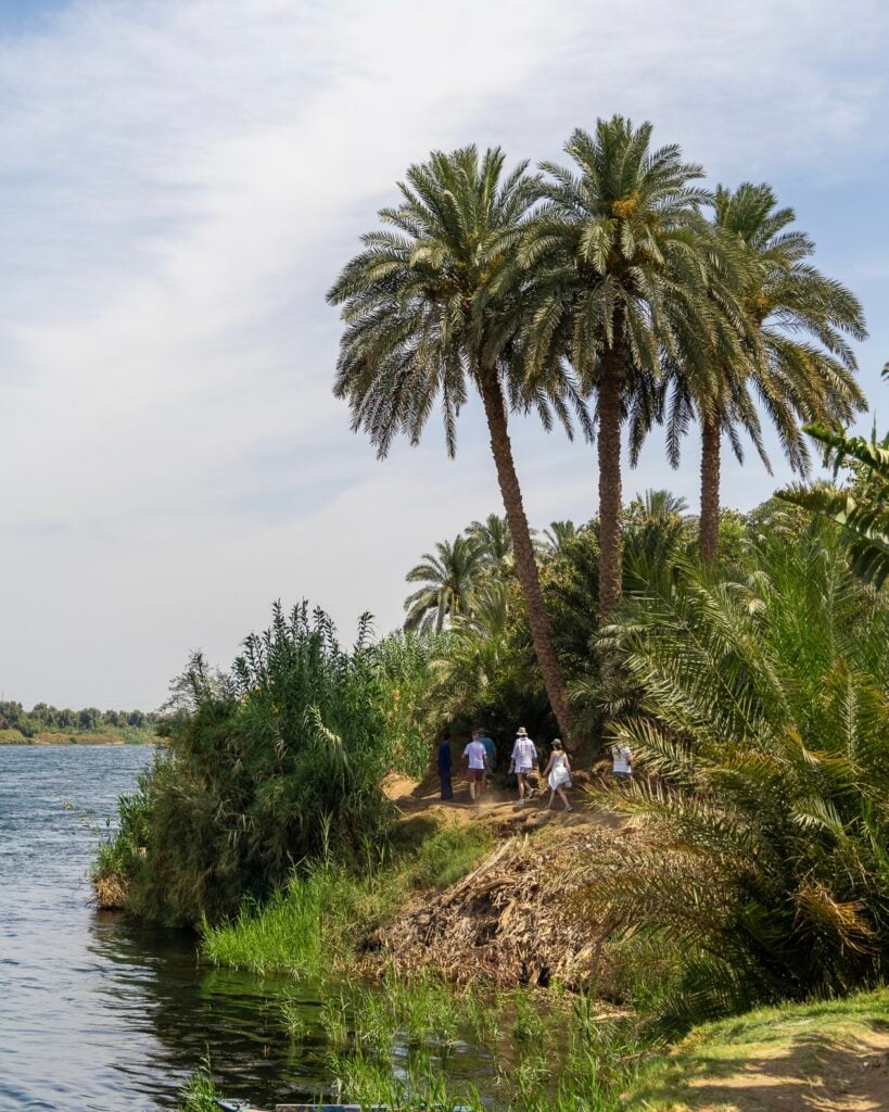 Nature walks with Nour El Nil