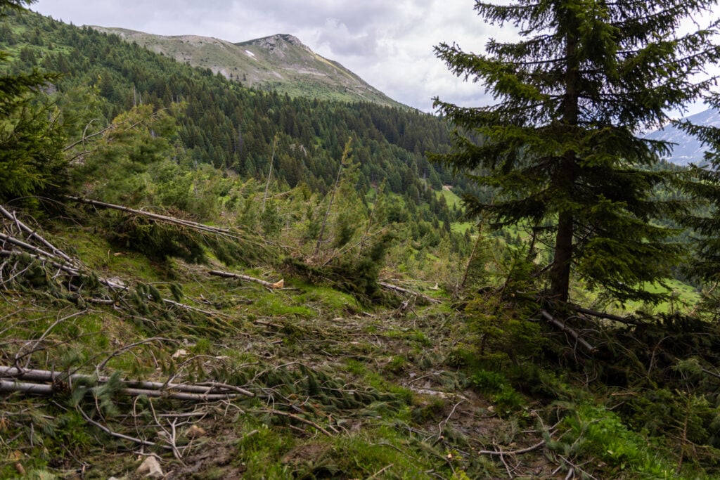 trail into Milishevc