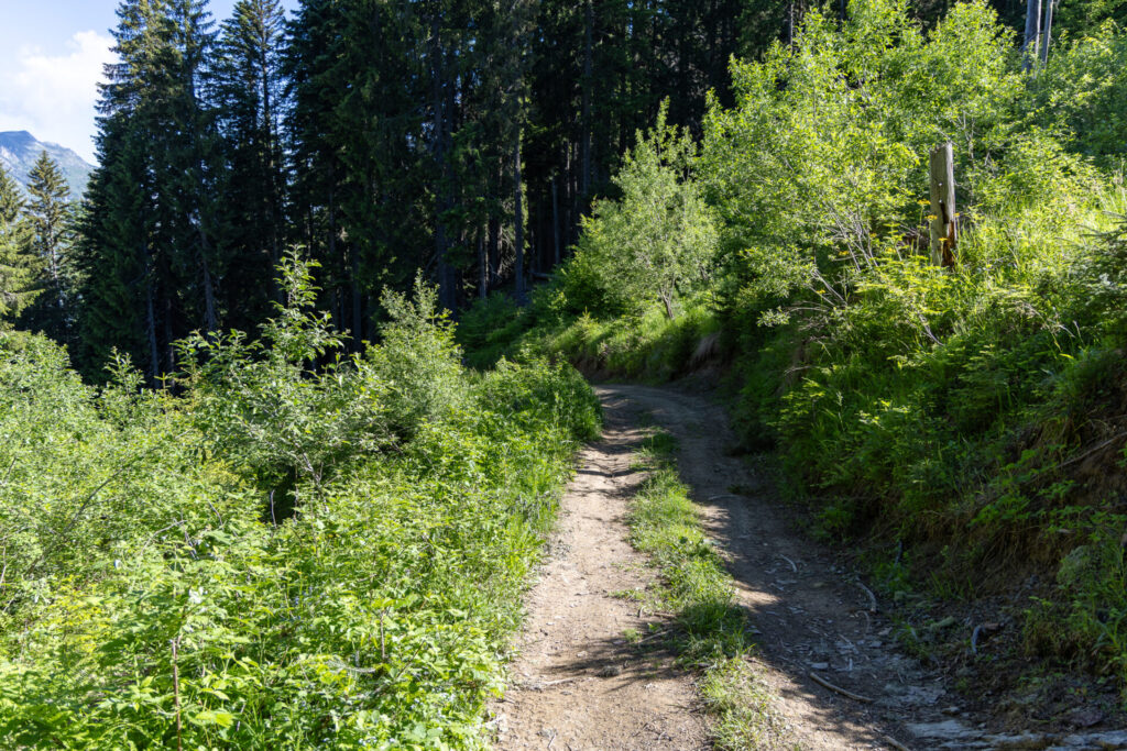 Hiking from Plav to Vusanje
