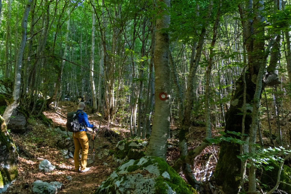 Talijanka Volušnica hike