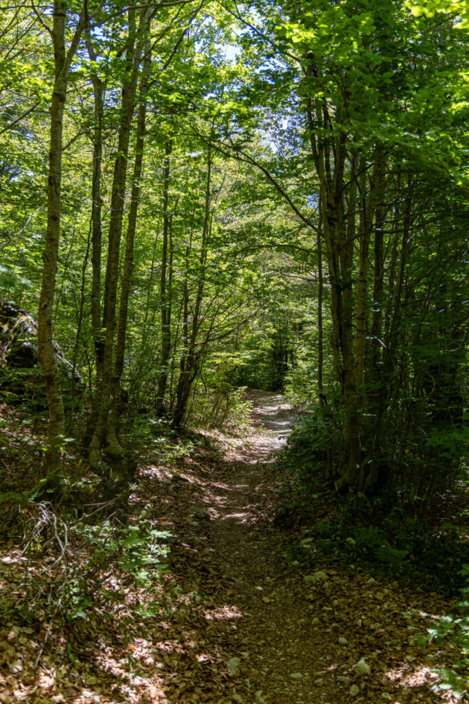 Descending from Valbona Pass to Valbona